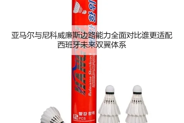ya-ma-er-yu-ni-ke-wei-lian-si-bian-lu-neng-li-quan-mian-dui-bi-shui-geng-shi-pei-xi-ban-ya-wei-lai-shuang-yi-ti-xi-2-604.jpg